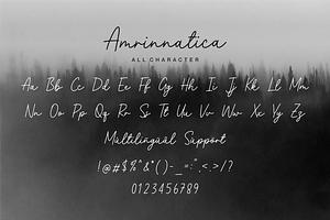 Amrinnatica A Monoline Script Font