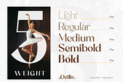 Ozilic, a Serif Font by Ardyanatypes (Thumbnail 3 of 12)
