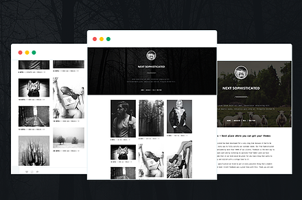 Next Sophisticated Tumblr Theme