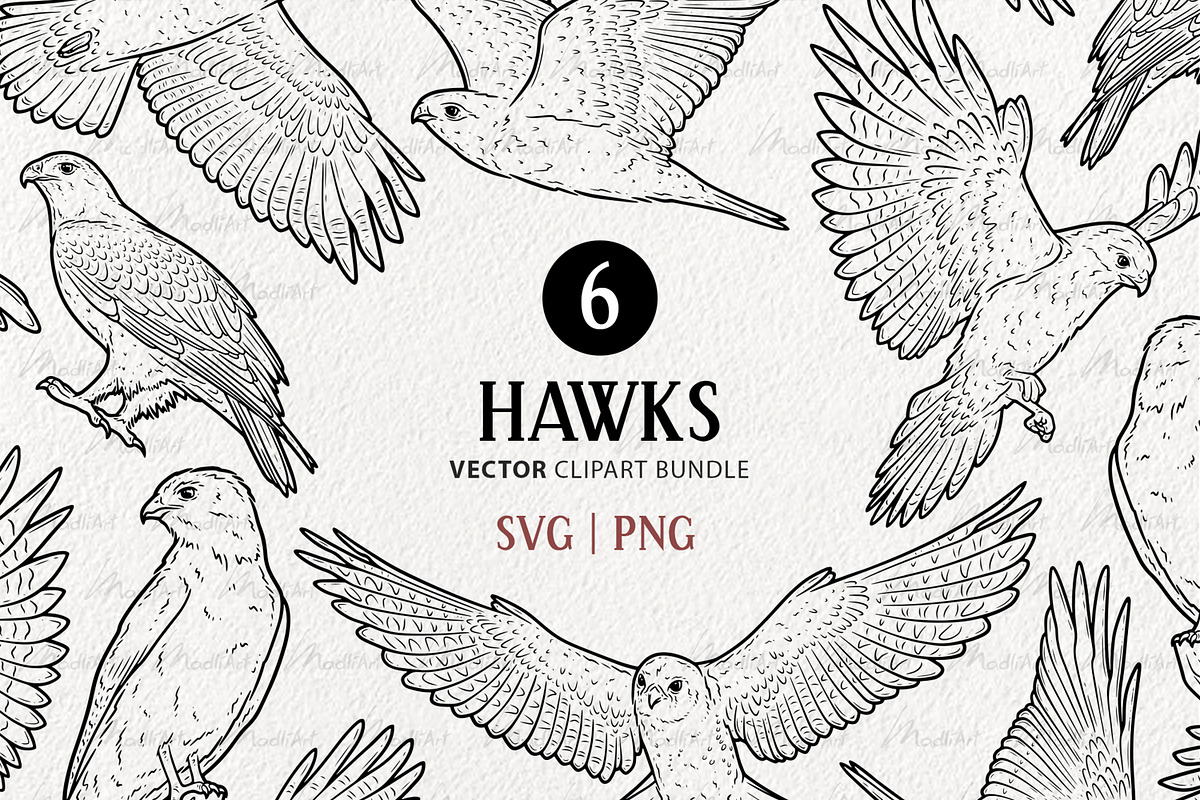 Hawk Falcon Bird Vector Line Art Set, an Animal Illustration by MadliArt (Photo 1 of 4)