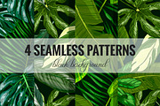 Tropical leaves. Vector Collection, an Illustration by JSolomatina (Thumbnail 4 of 5)