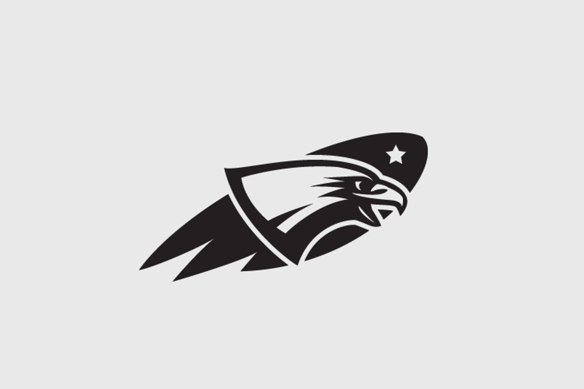 Falcon logo, a Branding & Logo Template by Mongkees (Photo 3 of 3)