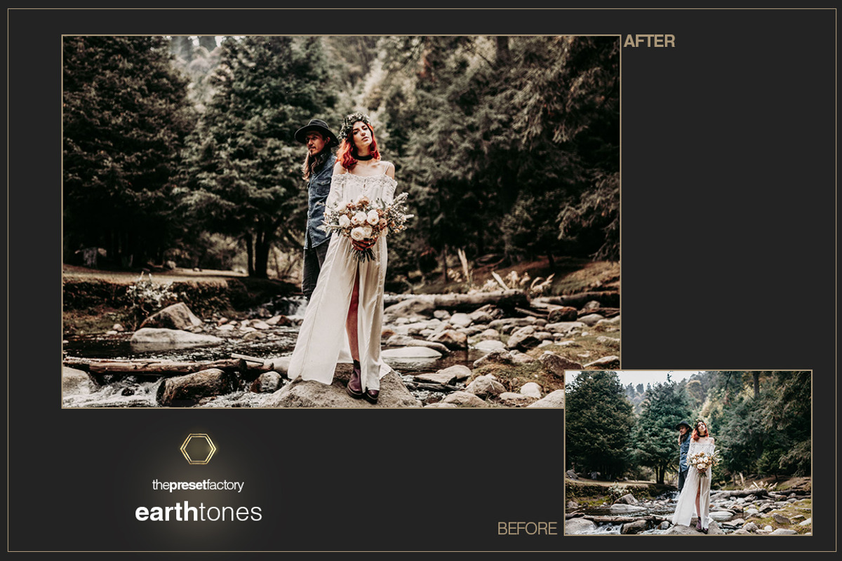 Earth Tones - Lightroom & PS ACR, a Plug-in Add-On by The Preset Factory Ltd. (Photo 6 of 11)
