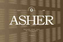 Asher Elegant Serif Font Typeface