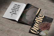 Quelia Vintage - Branding Logo Font, a Serif Font by Nirmana Visual (Thumbnail 15 of 15)