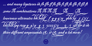 Excelsia Pro, a Script Font by Wiescher-Design (Thumbnail 11 of 11)