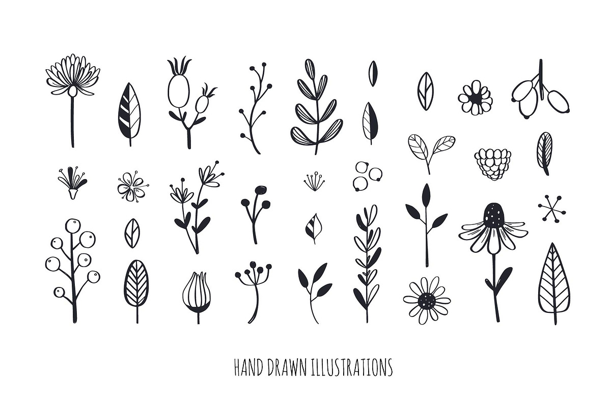 Boho floral line art hand drawn set, a Decorative Illustration by Wild Muse (Photo 3 of 7)