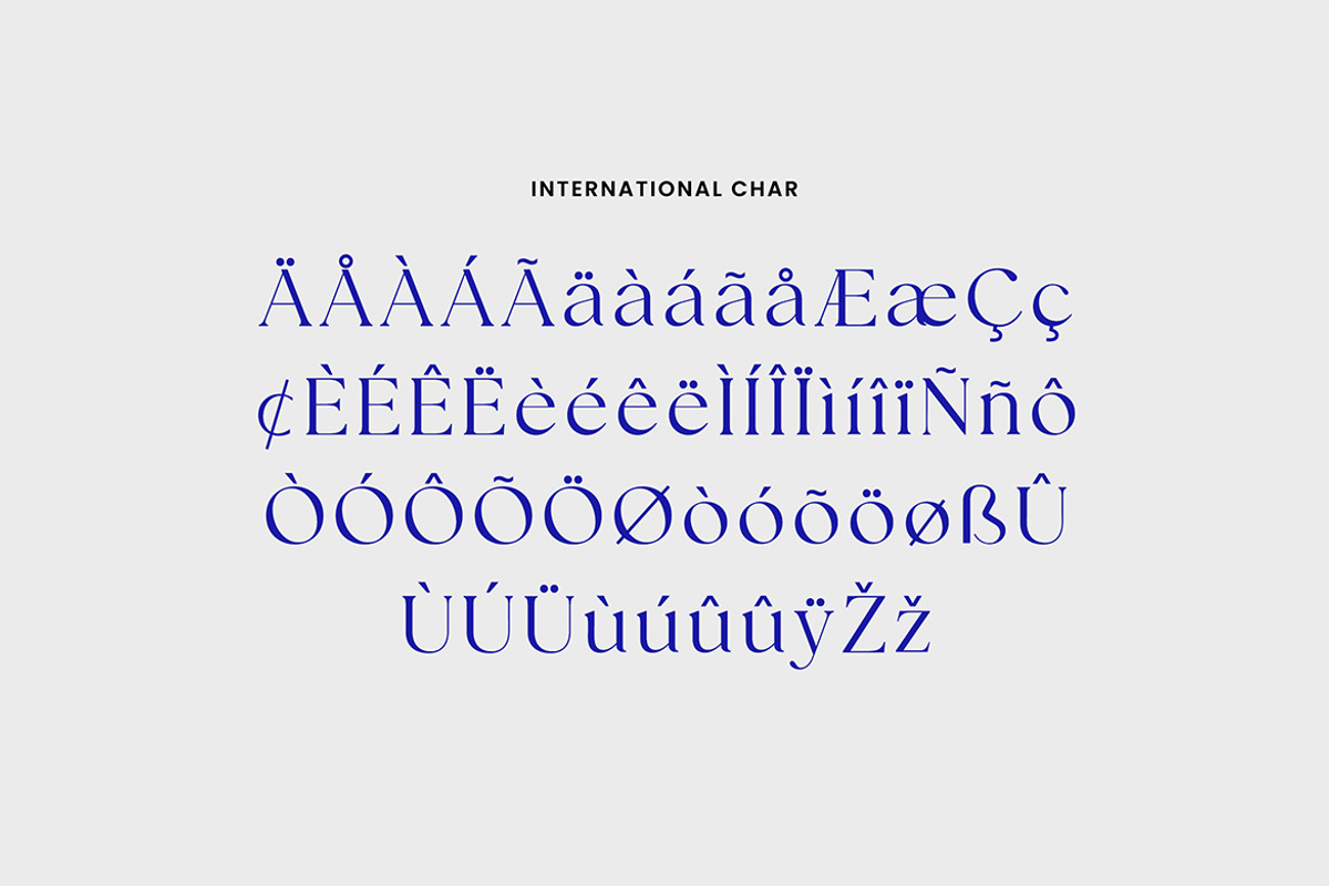 Distrampler Luxury Serif Font, a Serif Font by UICreative (Photo 8 of 13)