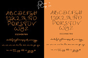 OrangePumpkin - Script Font Duo, a Script Font by erlosDESIGN (Thumbnail 10 of 11)