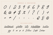 Aurevia Signature, a Script Font by Jackgridden (Thumbnail 4 of 12)