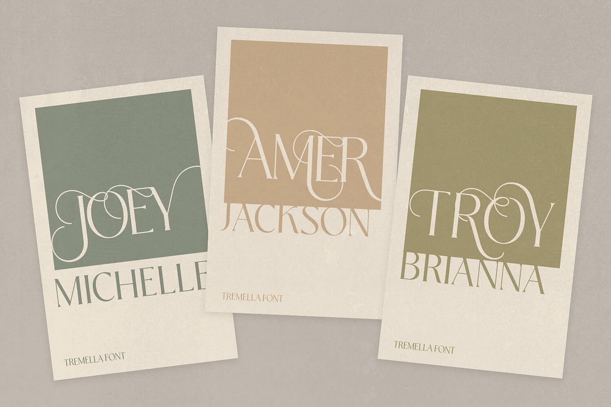 Tremella - Modern Branding Font, a Serif Font by creativemedialab (Photo 3 of 10)