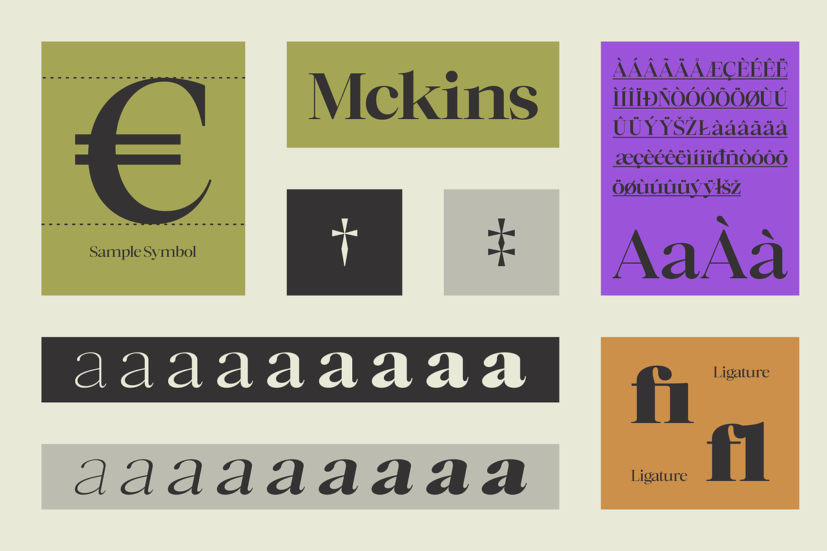 Mckins - Family Serif Font, a Serif Font by Marvadesign (Photo 5 of 9)