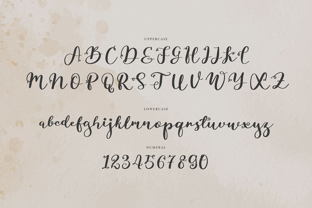 Siollars | Handwritten Script Font, a Script Font by Denustudios (Photo 10 of 12)