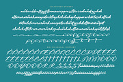 Midnight Sneaker, a Script Font by operatype.co (Thumbnail 14 of 15)