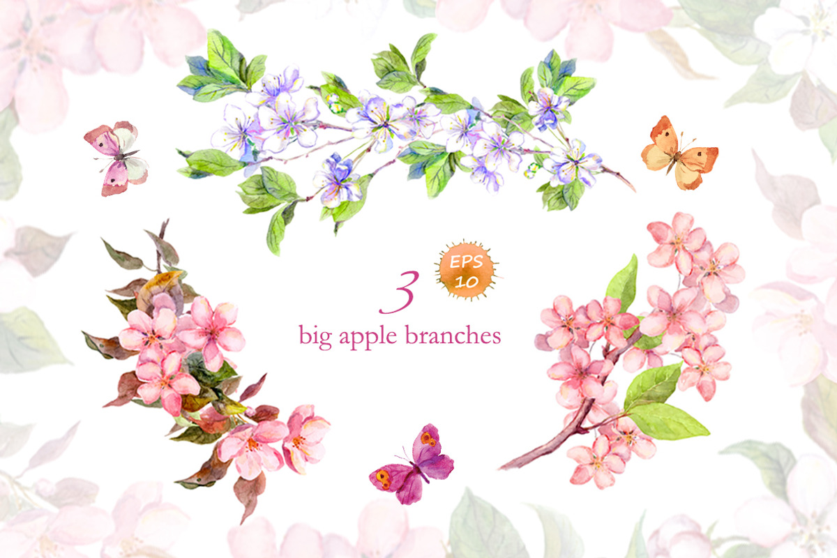 Apple flowers set. Watercolor vector, an Illustration by Where summer is (Photo 2 of 5)