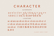 Naliada Font, a Serif Font by Muwatta Studio (Thumbnail 9 of 9)