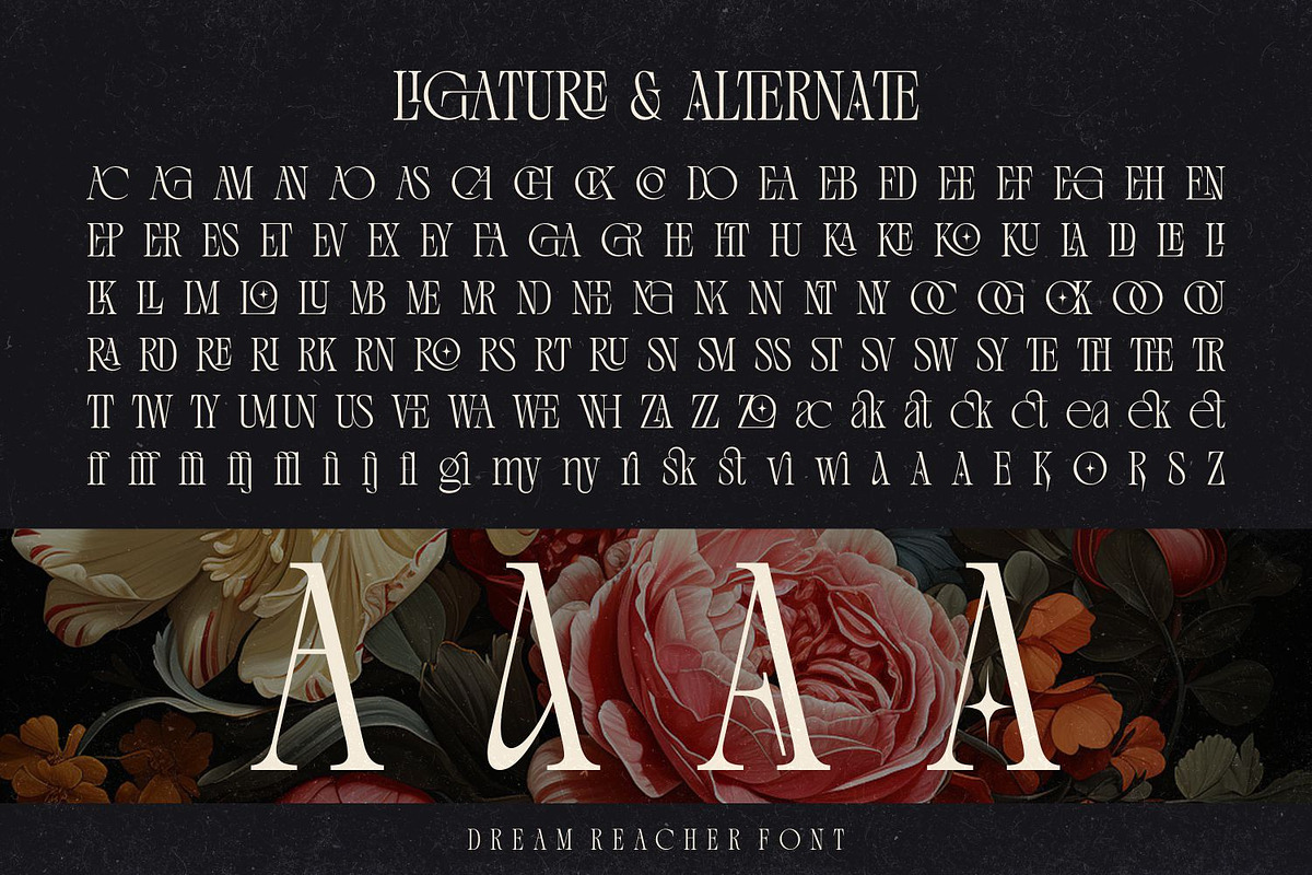 Dream Reacher Font, a Serif Font by Asenbayu (Photo 9 of 12)