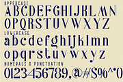 Materials Depicting Font, a Serif Font by 177Studio (Thumbnail 8 of 8)