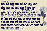Justice Ratkati - Bold Font, a Slab Serif Font by 177Studio (Thumbnail 7 of 8)