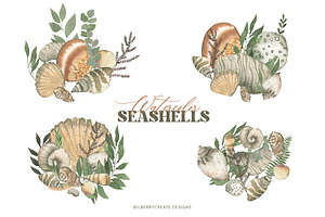 Watercolor Seashells Art Set