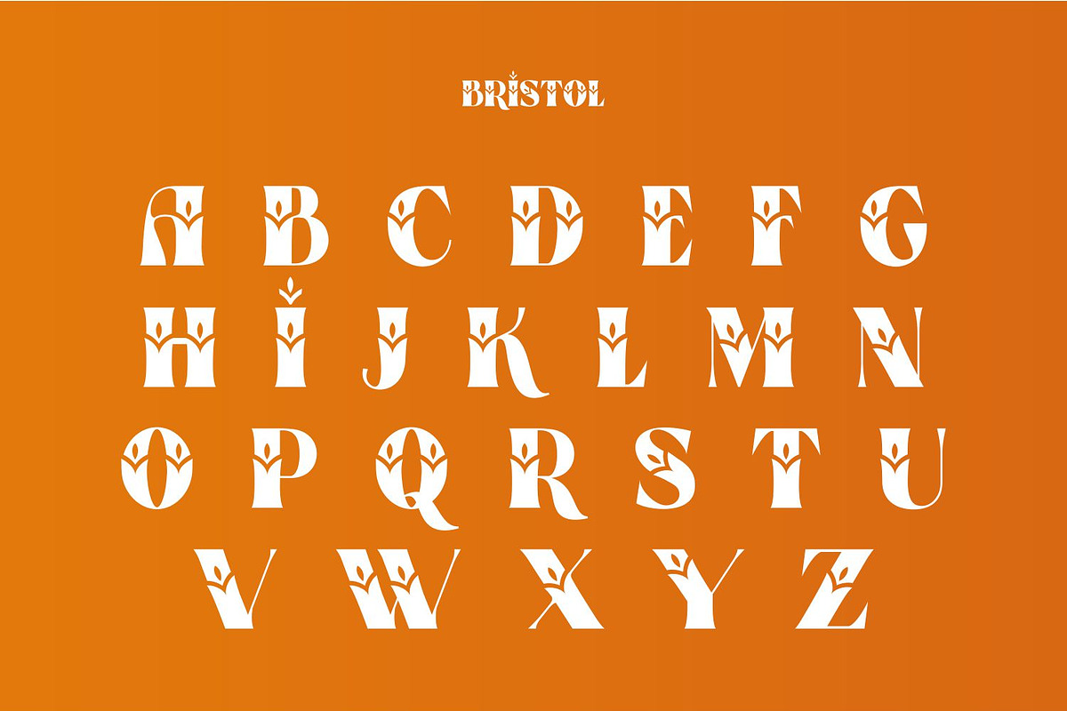 Bristol Slab Serif Groovy Font, a Slab Serif Font by WhymoreArt (Photo 9 of 9)