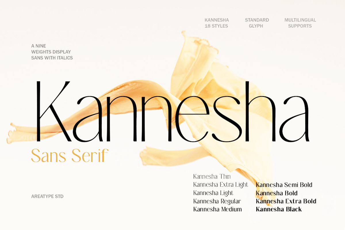 Kannesha Sans Serif (18 fonts), a Sans Serif Font by Areatype (Photo 1 of 13)