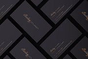 Beitris Script, a Script Font by banks (Thumbnail 11 of 15)
