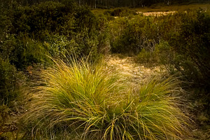 Dusk Valley, a Nature Photo by THP Creative