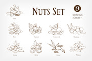 Nuts set + seamless patterns, a Food Illustration by Good Studio (Thumbnail 2 of 8)
