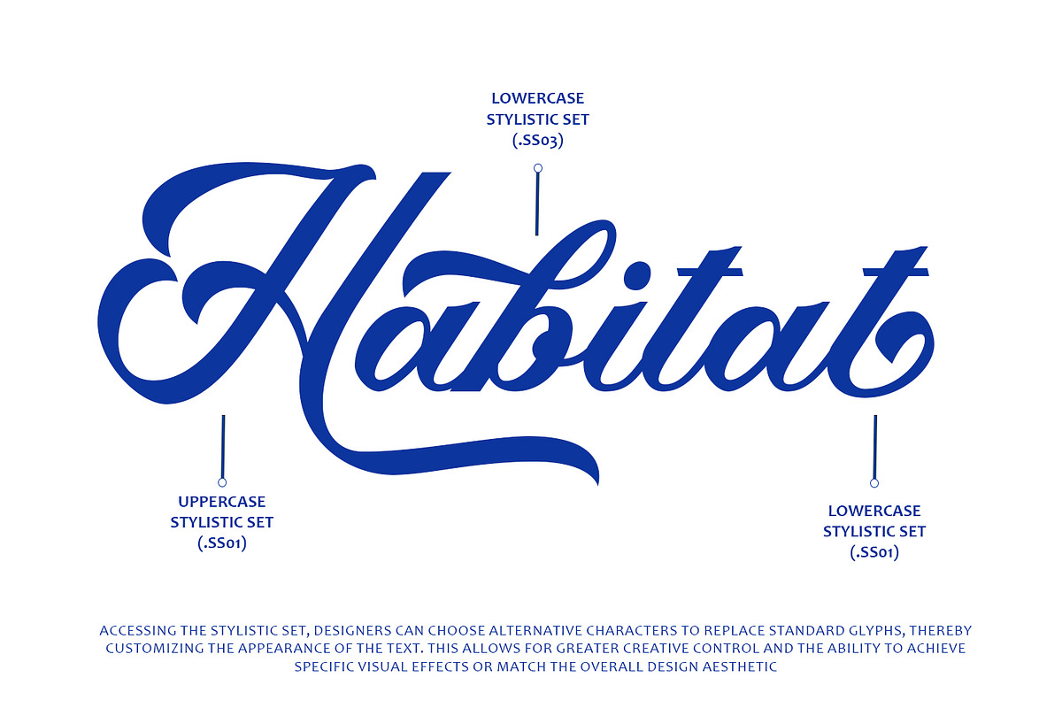 Ganglion Font, a Script Font by Arendxstudio (Photo 4 of 8)