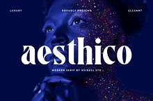 Aesthico Bold Serif Font