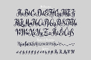 Late Frost font, a Script Font by Gleb Guralnyk (Thumbnail 4 of 5)