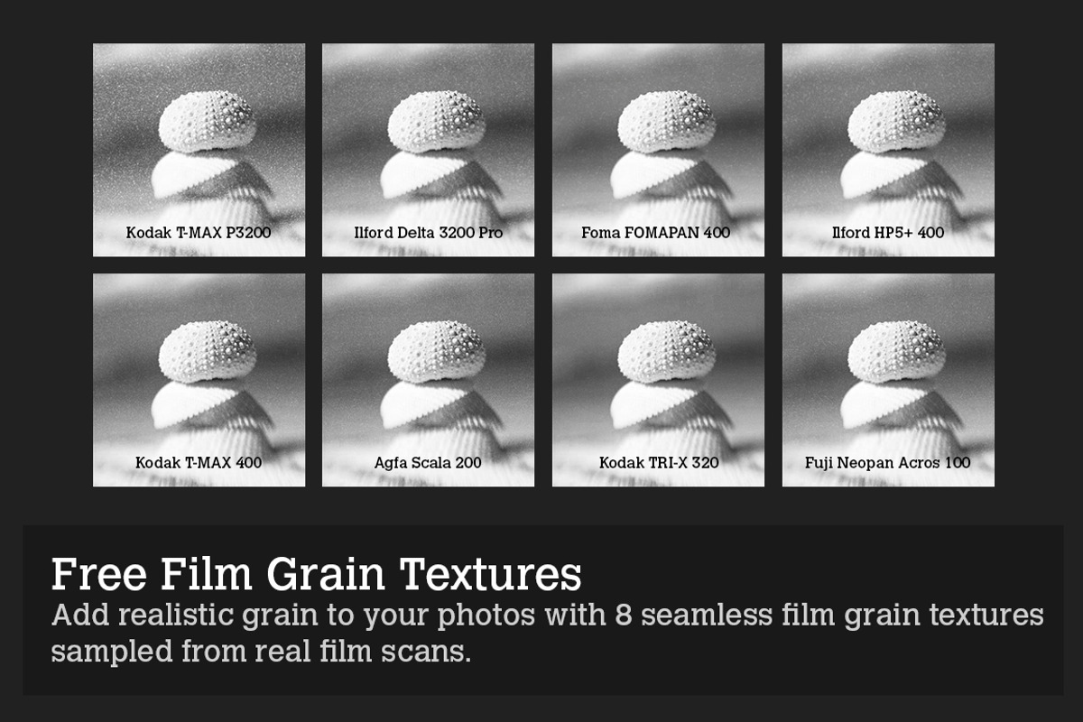 Silver - 28 Real B&W Film Emulations, an Action Add-On by SparkleStock (Photo 4 of 5)