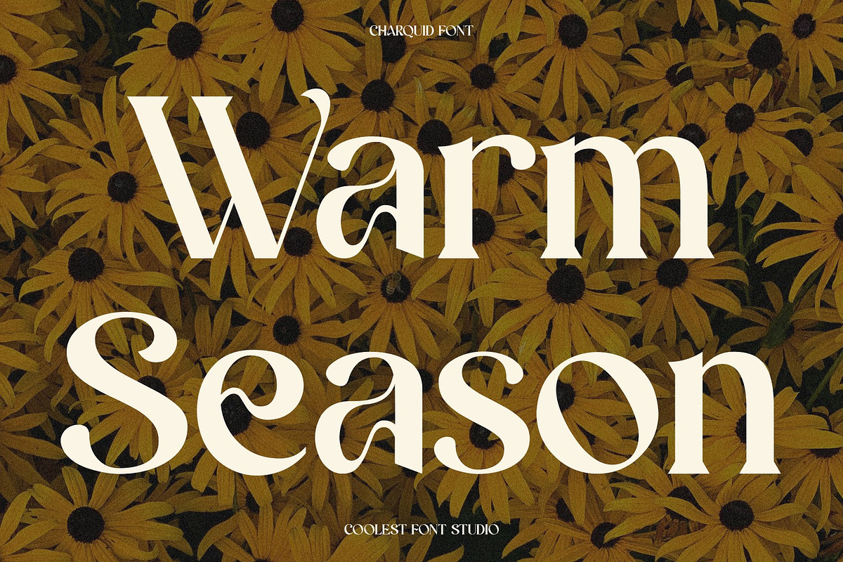 Charquid Font - Serif Font, a Serif Font by Koplexs Studio (Photo 2 of 10)