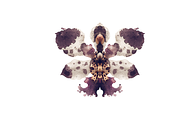 Heum Co. Botanical Inkblot Art, a Decorative Illustration by milatovar (Thumbnail 11 of 20)