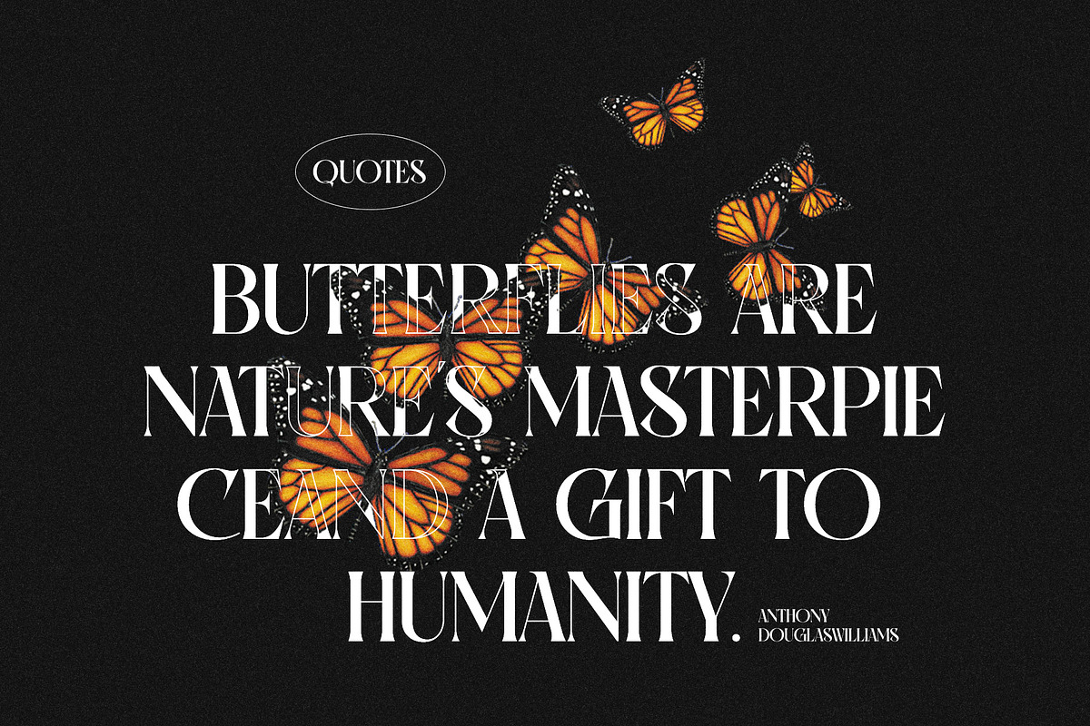 Santiago Vintage Serif Font, a Serif Font by Graphicxell (Photo 2 of 10)