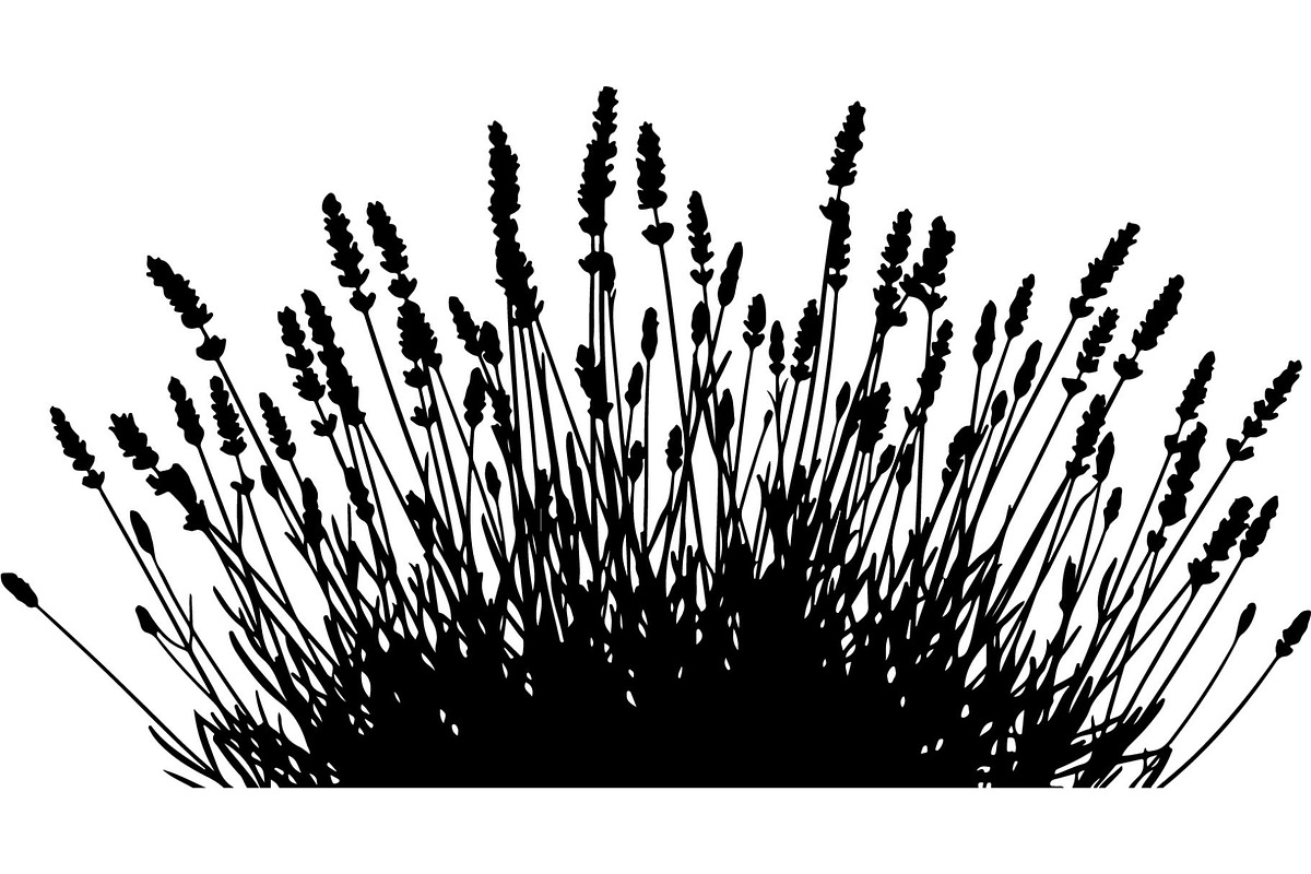 Lavender Flower Silhouette, an Object Graphic by Designer_Momina (Photo 13 of 20)
