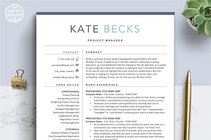 Professional Resume Template CV Word