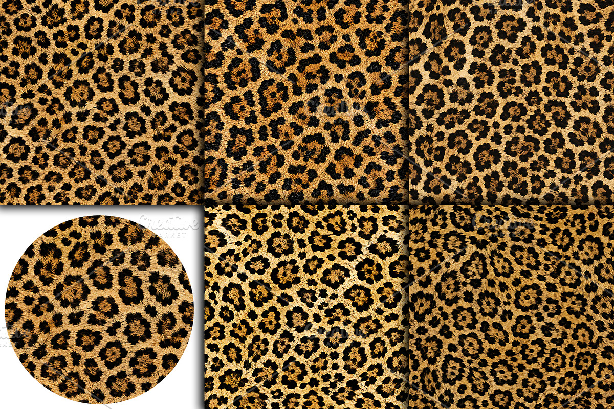 Realistic Leopard Print Fur Texture, a Pattern Graphic by Artonix (Photo 2 of 3)