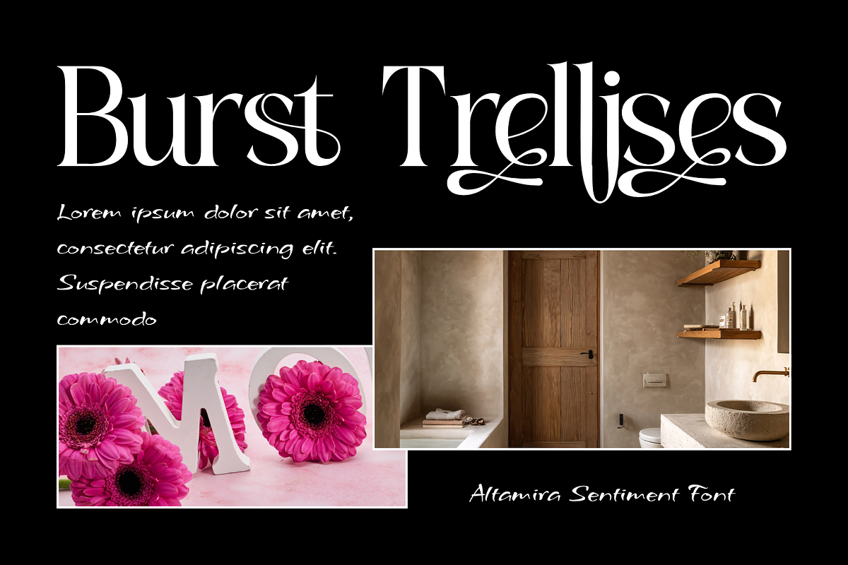 Altamira Sentiment - Elegant Serif, a Serif Font by 177Studio (Photo 4 of 8)