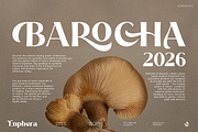 Enphera, a Serif Font by Aluyeah Studio (Thumbnail 3 of 15)