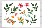 Magic plants and witch's terrariums, an Illustration by Olha's watercolor (Thumbnail 6 of 8)