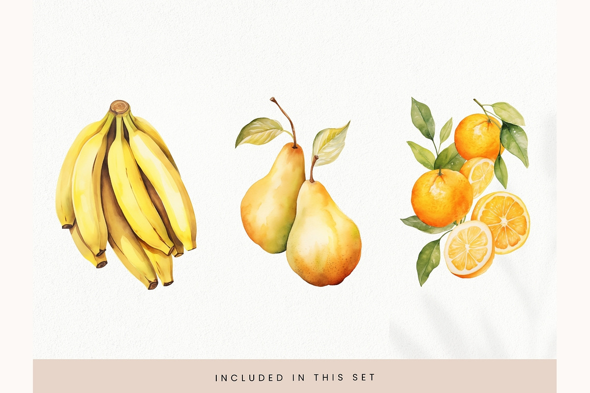 Watercolor Fruit Clipart, Fresh PNG, a Decorative Illustration by illuztrate (Photo 6 of 13)