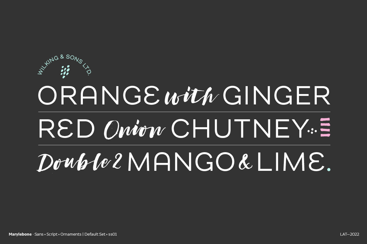 Marylebone, a Script Font by Los Andes Type (Photo 8 of 8)