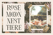 Lissa Stylish Ligature Serif Font, a Serif Font by Eotype Studio (Thumbnail 5 of 9)