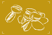 PISTACHIOS LINE ART (12+ ELEMENTS), a Food Illustration by Bonfloret Studio (Thumbnail 5 of 7)