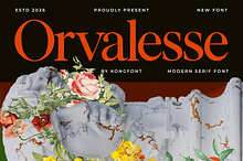 Orvaless – Modern Serif Font