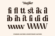 Magilio - A Chic Serif Fonts, a Serif Font by Prioritype Co (Thumbnail 21 of 23)