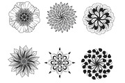 Floral Mandala Flower Set 1, a Brush Add-On by Disasterology Ink (Thumbnail 7 of 10)
