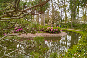 Japanese garden, botanic garden of montevideo city, uruguay, a Nature Photo by DanFLCreativo